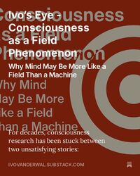 Consciousness as a Field Phenomenon