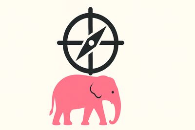 Roze olifant met kompas